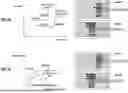 Fig. 03 - HISTORICAL PATTERN BASED SHEAR THICKENING FLUID CONTROL METHOD AND MECHANISM