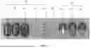 Fig. 06 - LIGHT FIXTURE CONFIGURED FOR SKY EMULATION