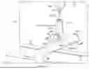 Fig. 19 - CONDUIT ACCESS ADAPTOR DEVICES AND METHODS