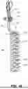 Fig. 14 - REFRIGERATION CYCLE INTERCOOLER WITH DUAL COIL EVAPORATOR