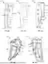 Fig. 10 - TAKEDOWN LEVER, TAKEDOWN SAFETY, AND TRIGGER SHOE