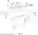 Fig. 34 - TOY PROJECTILE LAUNCHERS
