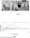 Fig. 02 - BLASTHOLE STEMMING BASED ON FORMALDEHYDE RESINS, SYSTEM AND CHARGING METHOD