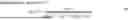 Fig. 12 - LIGHT DETECTION DEVICE
