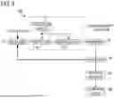 Fig. 04 - GAS PRESSURE SENSOR