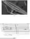Fig. 07 - SYSTEMS AND METHODS FOR DYNAMIC BRIDGE WEIGHT IN MOTION