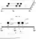 Fig. 13 - SYSTEMS AND METHODS FOR DYNAMIC BRIDGE WEIGHT IN MOTION