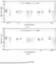 Fig. 31 - SYSTEMS AND METHODS FOR DYNAMIC BRIDGE WEIGHT IN MOTION