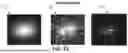 Fig. 29 - SYSTEMS AND METHODS FOR SCREENING ASYMPTOMATIC VIRUS EMITTERS USING DIVERSIFIERS FOR NOISE REDUCTION