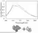 Fig. 01 - IONIC LIQUID ENCAPSULATION OF NIR DYES FOR THE IMPROVEMENT OF BLOODSTAIN DETECTION