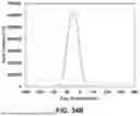 Fig. 32 - IONIC LIQUID ENCAPSULATION OF NIR DYES FOR THE IMPROVEMENT OF BLOODSTAIN DETECTION