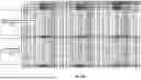 Fig. 15 - COMPOSITIONS AND METHODS FOR ASSAY MEASUREMENTS