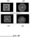 Fig. 04 - FLUORESCENCE IMAGING OF GEMSTONE ON TRANSPARENT STAGE