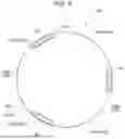 Fig. 06 - MEASURING INSTRUMENT AND MEASURING METHOD