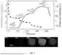 Fig. 03 - Measuring Electronic Accessibility Of Electrode Regions And Particles