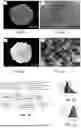 Fig. 04 - Measuring Electronic Accessibility Of Electrode Regions And Particles