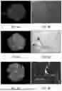 Fig. 11 - Measuring Electronic Accessibility Of Electrode Regions And Particles