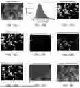 Fig. 12 - Measuring Electronic Accessibility Of Electrode Regions And Particles