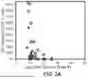 Fig. 04 - LYMPHOCYTE STIMULATION ASSAY TO QUANTIFY IMMUNE RESPONSES