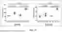 Fig. 21 - LYMPHOCYTE STIMULATION ASSAY TO QUANTIFY IMMUNE RESPONSES
