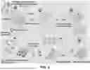 Fig. 07 - AFFINITY ENCODED OSCILLATOR ARRAYS, METHODS, AND RELATED ASPECTS FOR MEASURING MOLECULAR BINDING KINETICS