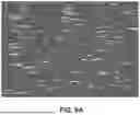 Fig. 14 - AFFINITY ENCODED OSCILLATOR ARRAYS, METHODS, AND RELATED ASPECTS FOR MEASURING MOLECULAR BINDING KINETICS