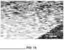 Fig. 23 - AFFINITY ENCODED OSCILLATOR ARRAYS, METHODS, AND RELATED ASPECTS FOR MEASURING MOLECULAR BINDING KINETICS