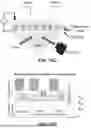 Fig. 29 - AFFINITY ENCODED OSCILLATOR ARRAYS, METHODS, AND RELATED ASPECTS FOR MEASURING MOLECULAR BINDING KINETICS