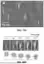Fig. 30 - AFFINITY ENCODED OSCILLATOR ARRAYS, METHODS, AND RELATED ASPECTS FOR MEASURING MOLECULAR BINDING KINETICS