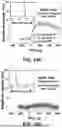 Fig. 39 - AFFINITY ENCODED OSCILLATOR ARRAYS, METHODS, AND RELATED ASPECTS FOR MEASURING MOLECULAR BINDING KINETICS