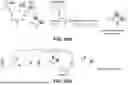Fig. 43 - AFFINITY ENCODED OSCILLATOR ARRAYS, METHODS, AND RELATED ASPECTS FOR MEASURING MOLECULAR BINDING KINETICS