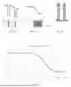 Fig. 08 - SYSTEMS AND METHODS FOR QUANTITATIVE LATERAL FLOW TESTS