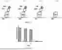 Fig. 02 - TIME-DEPENDENT PROFILING OF BINDING INTERACTIONS