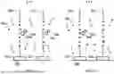 Fig. 17 - TIME-DEPENDENT PROFILING OF BINDING INTERACTIONS