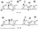 Fig. 25 - TIME-DEPENDENT PROFILING OF BINDING INTERACTIONS