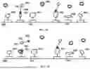Fig. 29 - TIME-DEPENDENT PROFILING OF BINDING INTERACTIONS