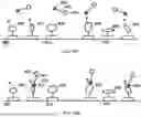 Fig. 32 - TIME-DEPENDENT PROFILING OF BINDING INTERACTIONS