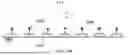 Fig. 40 - TIME-DEPENDENT PROFILING OF BINDING INTERACTIONS