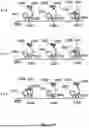 Fig. 46 - TIME-DEPENDENT PROFILING OF BINDING INTERACTIONS