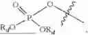 Fig. 29 - POLYMERIC TANDEM DYES WITH SPACING LINKER GROUPS