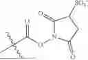 Fig. 43 - POLYMERIC TANDEM DYES WITH SPACING LINKER GROUPS