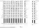 Fig. 06 - MULTIPLEX IMMUNOBLOT EARLY CANCER DIAGNOSTICS TEST FOR VETERINARY DIAGNOSTICS