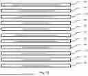 Fig. 17 - MULTIPLEX IMMUNOBLOT EARLY CANCER DIAGNOSTICS TEST FOR VETERINARY DIAGNOSTICS