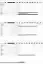 Fig. 19 - MULTIPLEX IMMUNOBLOT EARLY CANCER DIAGNOSTICS TEST FOR VETERINARY DIAGNOSTICS