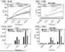 Fig. 36 - METHODS OF TREATING AND DIAGNOSING LUNG CANCER