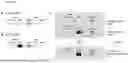 Fig. 02 - MAMMALIAN DISPLAY PLATFORM FOR MULTISPECIFIC ANTIGEN BINDING PROTEINS