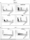 Fig. 09 - MAMMALIAN DISPLAY PLATFORM FOR MULTISPECIFIC ANTIGEN BINDING PROTEINS