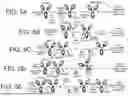 Fig. 06 - Proteoform Specific Process Validation