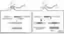 Fig. 01 - IDENTIFICATION OF TDP-43 CRYPTIC EXON-ENCODED NEOEPITOPES AS FUNCTIONAL FLUID BIOMARKERS FOR ALZHEIMER'S DISEASE AND RELATED DEMENTIA
