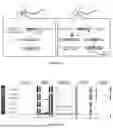 Fig. 02 - IDENTIFICATION OF TDP-43 CRYPTIC EXON-ENCODED NEOEPITOPES AS FUNCTIONAL FLUID BIOMARKERS FOR ALZHEIMER'S DISEASE AND RELATED DEMENTIA
